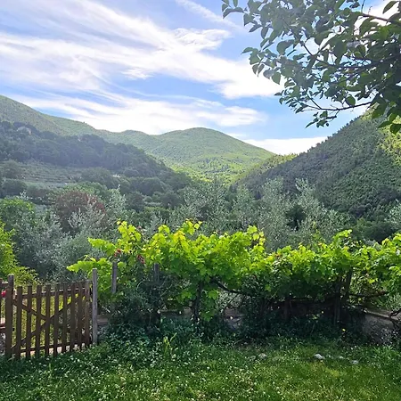 Lejlighed Casale Belvedere Degli Ulivi Spoleto