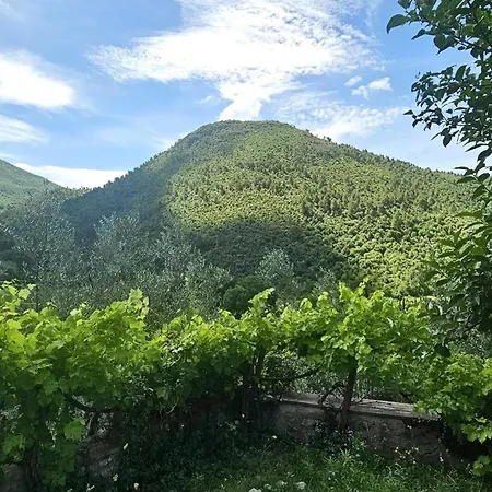 Lejlighed Casale Belvedere Degli Ulivi *