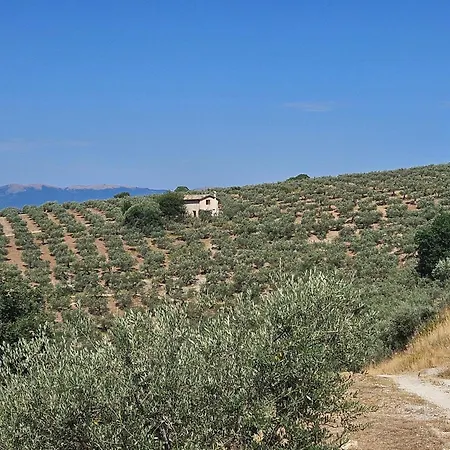 Lejlighed Casale Belvedere Degli Ulivi