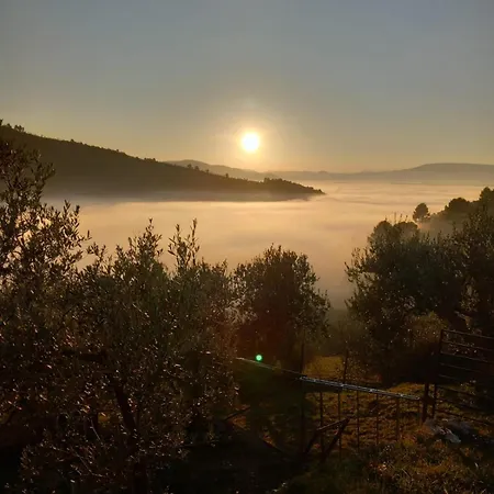 Lejlighed Casale Belvedere Degli Ulivi Spoleto
